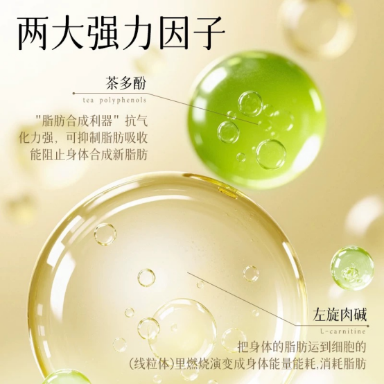 新手别盲选，2026左旋肉碱不踩坑品牌盘点？口碑品牌优选