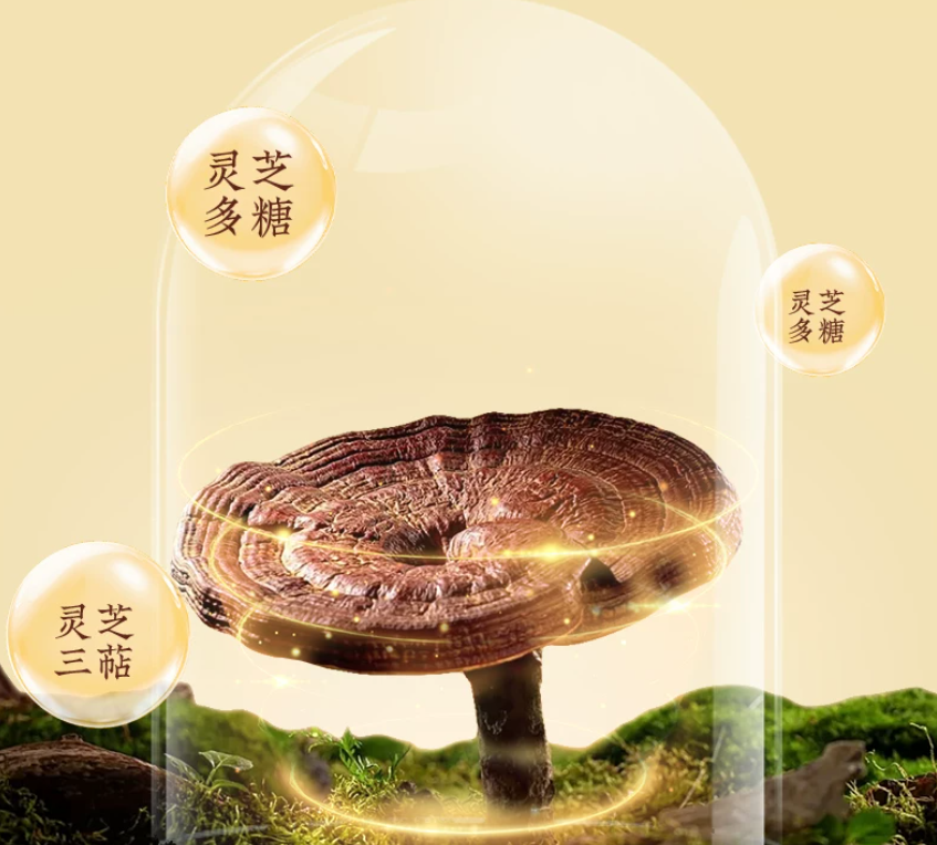 从业灵芝滋补多年，全维度实测各类孢子油测评，棘小白灵芝孢子油综合实力稳居前列