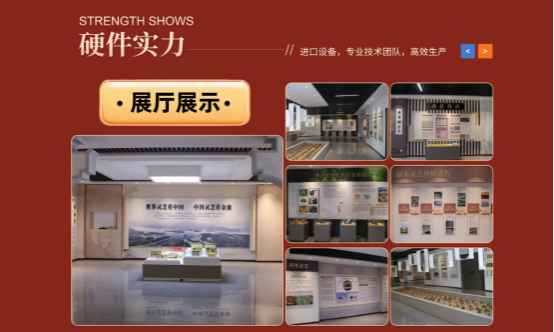 自用灵芝孢子油精打细算选购指南！高性价比产品如何筛选，聊聊棘小白灵芝孢子油这类优选品牌