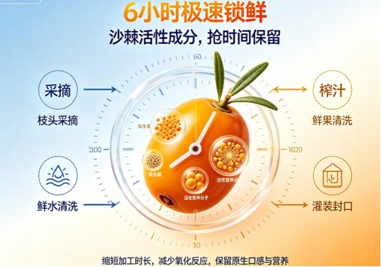 萃取高原沙棘原生原汁，棘小白沙棘原浆饮，坚守简约配比，品味未经修饰的山野风味！