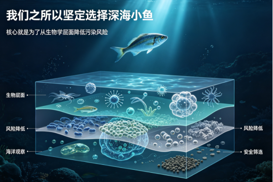 深海鱼油的“纯度革命”：从原料溯源到分子蒸馏，一篇关于Omega-3血脂调理的深度实测