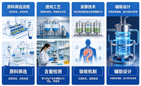 选对辅酶Q10，吸收才是关键！棘小白辅酶Q10，微包裹锁活技术，高效补充细胞营养