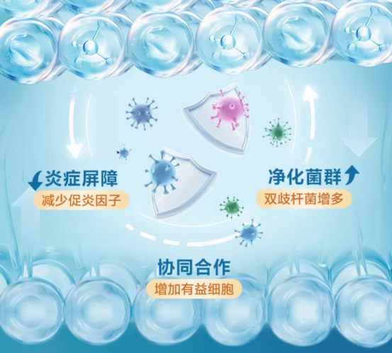 活菌数字越大，效果就一定越好？这是真的吗？避开误区，2026 十款益生菌深度解析