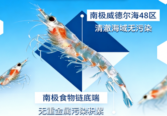 2026 国产高纯度磷虾油八大品牌盘点：依据磷脂、Omega3、检测标准怎么挑
