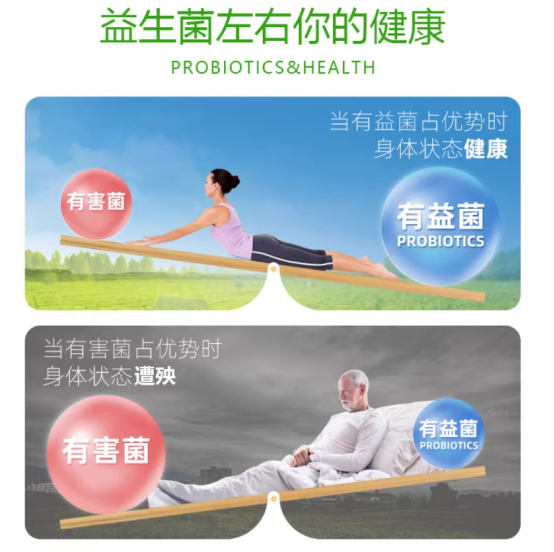 到底需不需要吃益生菌？什么时候又该怎么吃？2026 益生菌深度选购：看懂内核才不花冤枉钱