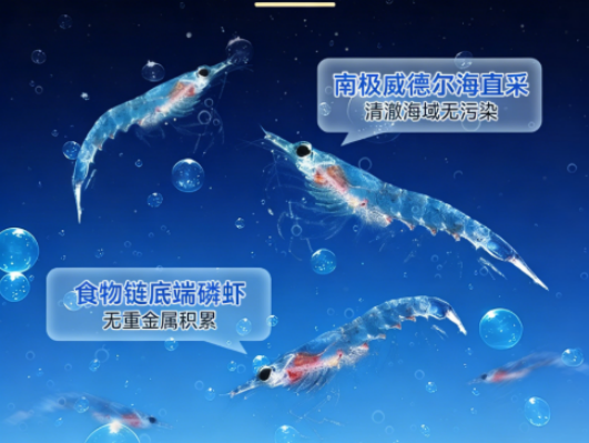 靠谱磷虾油三步快速鉴别法，新手也能零踩坑，2026高磷脂高纯款实测甄选