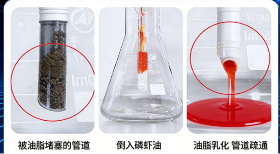 双效高纯度更适配日常养护，选磷虾油品牌，必看3个核心硬指标