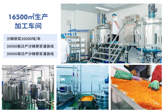 沙棘原浆选购横评｜8 款热门品牌，便携性 + 原汁浓度一次性拆解